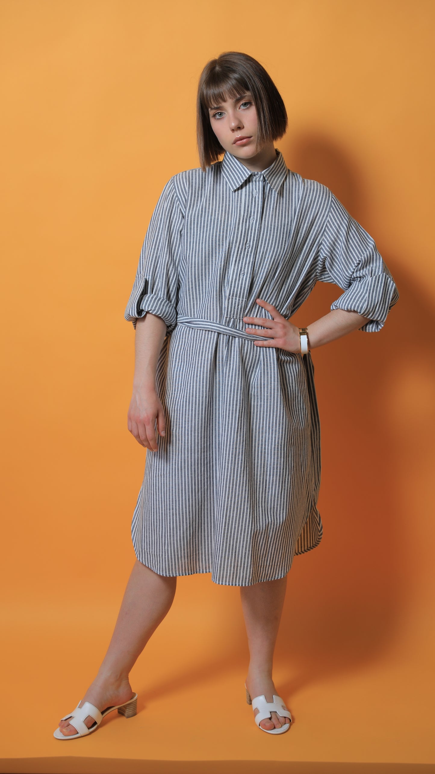 Paris Shirt Dress